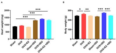 Estrogen Protects Vasomotor Functions in Rats During Catecholamine Stress